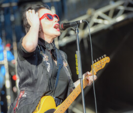 Baby Animals