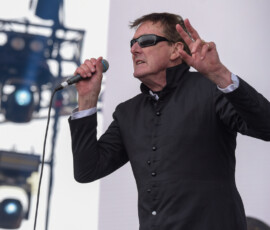 The Radiators
