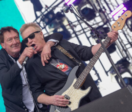 The Radiators